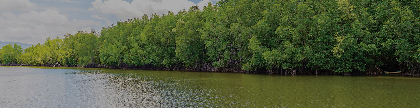 Maintaining Coastal Ecosystem